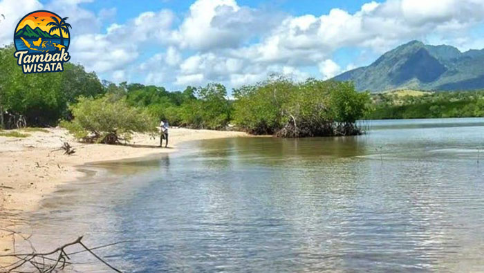 Eksotisme Pantai Si Rondo Situbondo yang Bikin Jatuh Hati