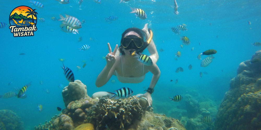 Menilik Keindahan Pulau Pramuka di Kepulauan Seribu Teluk Jakarta