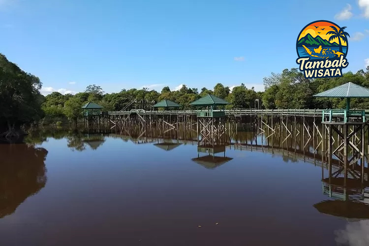 Petualangan Keindahan Tersembunyi – Menjelajahi Pesona Danau Tahai di Kalimantan Tengah