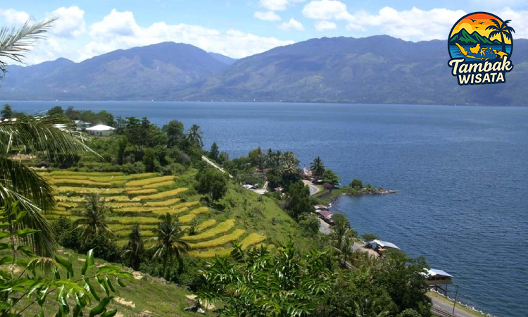 Tragedi Danau Maninjau, Redupnya Keindahan Alam dari Ranah Minang – Danau Maninjau