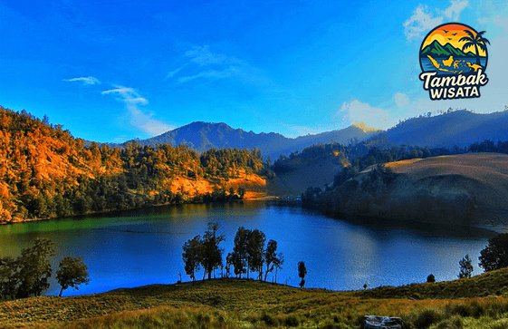 Daya Tarik Ranu Kumbolo, Danau Cantik di Ketinggian 2.450 Mdpl