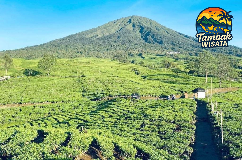 Desa Wisata Gunung Dempo Tempat Wisata Para Pendaki – Surga Alam di Pagar Alam