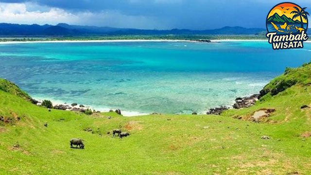 Perbukitan hijau dengan pemandangan laut biru TAMBAKBET